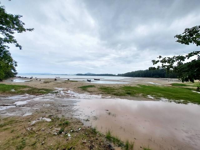 ที่ดิน 124673750 ภูเก็ต ถลาง สาคู ที่ดิน 124673750 ภูเก็ต ถลาง สาคู