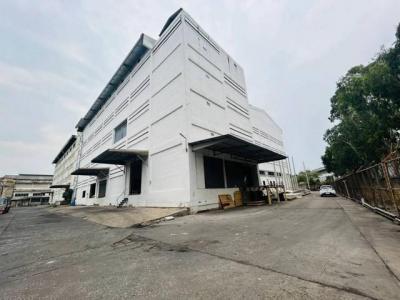 โกดัง 100 สมุทรปราการ เมืองสมุทรปราการ บางปูใหม่