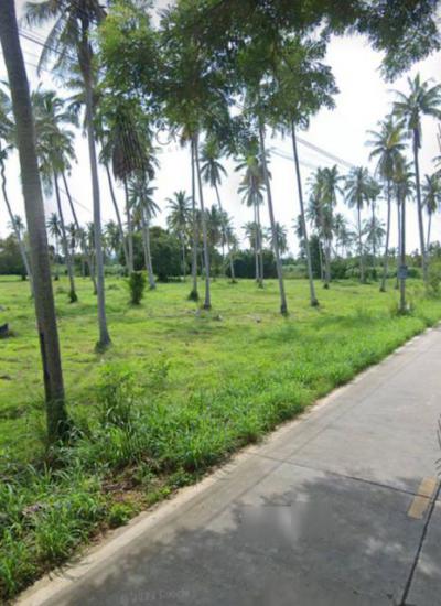 ที่ดิน 52640000 ชลบุรี บางละมุง ห้วยใหญ่