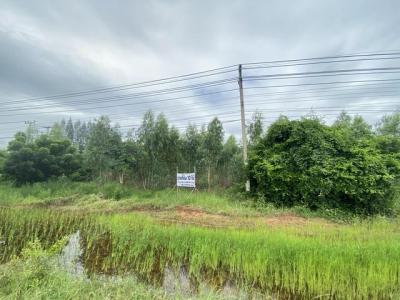 ที่ดิน 27000000 ชัยภูมิ ภูเขียว ธาตุทอง