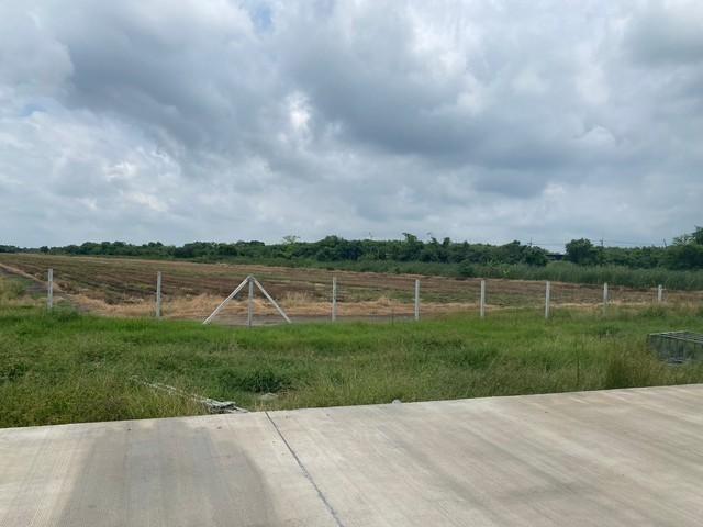 ที่ดิน 3500000 ฉะเชิงเทรา เมืองฉะเชิงเทรา คลองอุดมชลจร ที่ดิน 3500000 ฉะเชิงเทรา เมืองฉะเชิงเทรา คลองอุดมชลจร