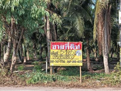 ที่ดิน 19100000 สมุทรสงคราม เมืองสมุทรสงคราม ลาดใหญ่