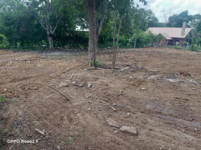ที่ดิน 11000 สระบุรี มวกเหล็ก มิตรภาพ
