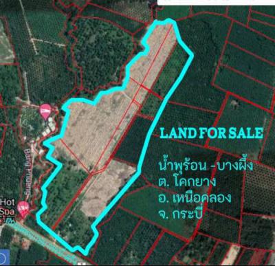 ที่ดิน 247000000 กระบี่ คลองท่อม เพหลา