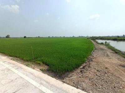 ที่ดิน 4500000 พระนครศรีอยุธยา บางซ้าย เต่าเล่า