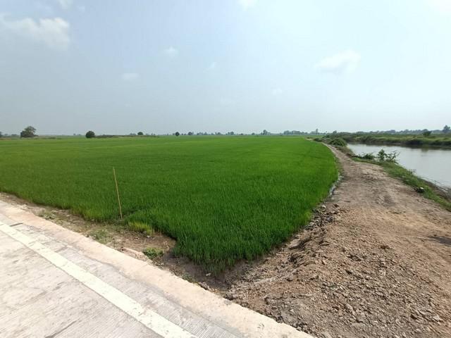 ที่ดิน 4500000 พระนครศรีอยุธยา บางซ้าย เต่าเล่า ที่ดิน 4500000 พระนครศรีอยุธยา บางซ้าย เต่าเล่า