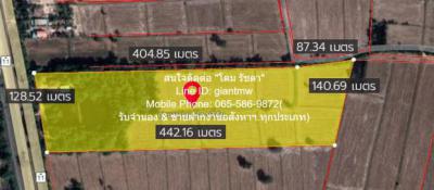 ที่ดิน 25159490 พิษณุโลก วังทอง หนองพระ
