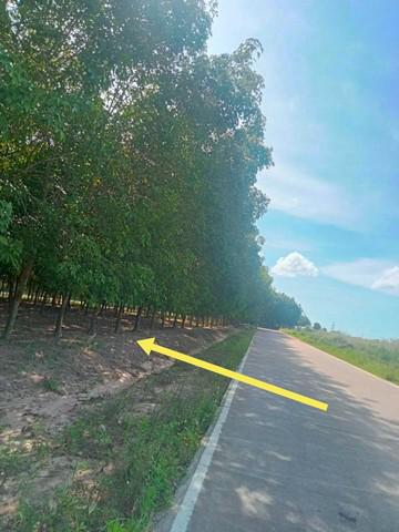 ที่ดิน 3500000 ชลบุรี ศรีราชา เขาคันทรง