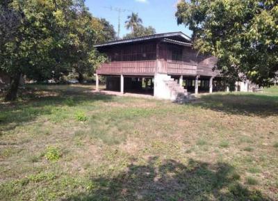 ที่ดิน 4500000 ชลบุรี เมืองชลบุรี บ้านสวน