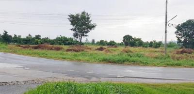 ที่ดิน 19000000 ชลบุรี พนัสนิคม หมอนนาง