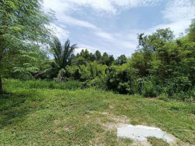 ที่ดิน 2500000 ชลบุรี บ้านบึง หนองชาก
