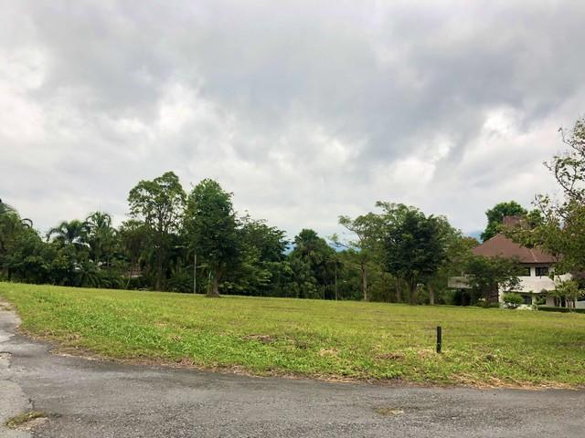 ที่ดิน 13630000 สระบุรี มวกเหล็ก มิตรภาพ ที่ดิน 13630000 สระบุรี มวกเหล็ก มิตรภาพ