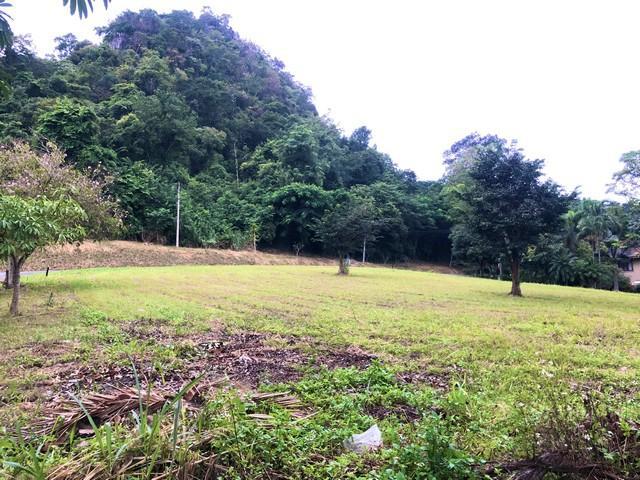 ที่ดิน 13630000 สระบุรี มวกเหล็ก มิตรภาพ ที่ดิน 13630000 สระบุรี มวกเหล็ก มิตรภาพ