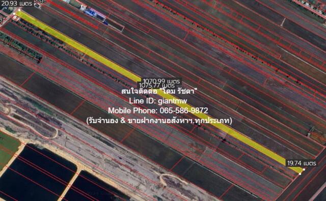 ที่ดิน 6250000 ฉะเชิงเทรา เมืองฉะเชิงเทรา คลองเปรง ที่ดิน 6250000 ฉะเชิงเทรา เมืองฉะเชิงเทรา คลองเปรง