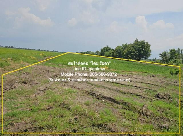 ที่ดิน 6250000 ฉะเชิงเทรา เมืองฉะเชิงเทรา คลองเปรง ที่ดิน 6250000 ฉะเชิงเทรา เมืองฉะเชิงเทรา คลองเปรง
