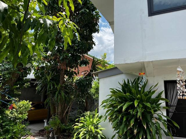 บ้านเดี่ยว 5500000 กรุงเทพมหานคร เขตประเวศ หนองบอน บ้านเดี่ยว 5500000 กรุงเทพมหานคร เขตประเวศ หนองบอน