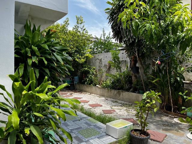 บ้านเดี่ยว 5500000 กรุงเทพมหานคร เขตประเวศ หนองบอน บ้านเดี่ยว 5500000 กรุงเทพมหานคร เขตประเวศ หนองบอน