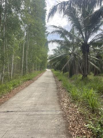 ที่ดิน 850000 ชลบุรี พนัสนิคม โคกเพลาะ