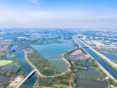 ที่ดิน 236000000 ชลบุรี พานทอง บางนาง