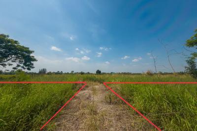 ที่ดิน 757500 ปทุมธานี หนองเสือ บึงบอน