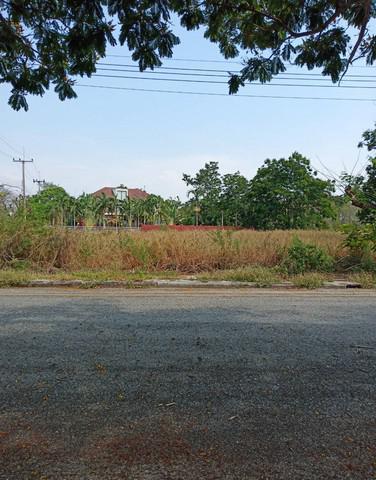 ที่ดิน 5700000 ฉะเชิงเทรา บางปะกง หอมศีล