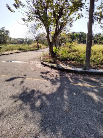 ที่ดิน 5700000 ฉะเชิงเทรา บางปะกง หอมศีล ที่ดิน 5700000 ฉะเชิงเทรา บางปะกง หอมศีล