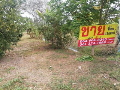 ที่ดิน 6400000 ปทุมธานี หนองเสือ บึงบอน