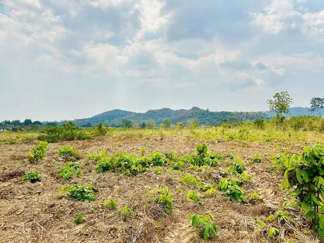 ที่ดิน 55500000 ชลบุรี สัตหีบ พลูตาหลวง ที่ดิน 55500000 ชลบุรี สัตหีบ พลูตาหลวง