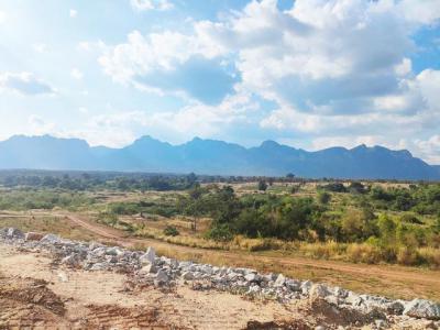 ที่ดิน 4200000 ชัยภูมิ หนองบัวแดง หนองบัวแดง