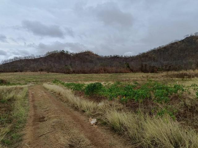 ที่ดิน 2300000 ตาก เมืองตาก วังหิน ที่ดิน 2300000 ตาก เมืองตาก วังหิน