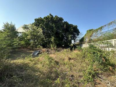 ที่ดิน 28600000 กรุงเทพมหานคร เขตพระโขนง บางจาก