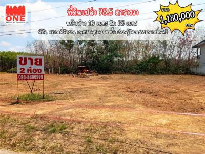 ที่ดิน 1180000 ตรัง นาโยง นาหมื่นศรี