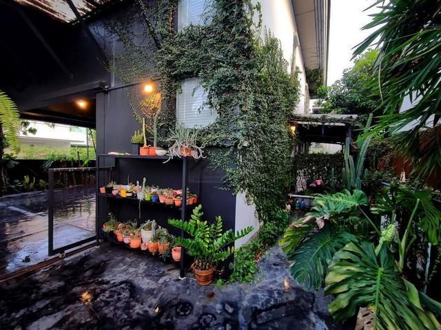 บ้านเดี่ยว 30000 กรุงเทพมหานคร เขตบางเขน ท่าแร้ง บ้านเดี่ยว 30000 กรุงเทพมหานคร เขตบางเขน ท่าแร้ง