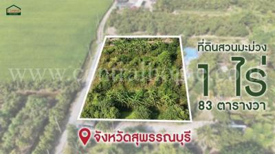 ที่ดิน 900000 สุพรรณบุรี เมืองสุพรรณบุรี โพธิ์พระยา