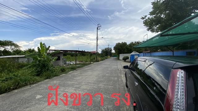โกดัง 195000 นนทบุรี เมืองนนทบุรี ไทรม้า โกดัง 195000 นนทบุรี เมืองนนทบุรี ไทรม้า