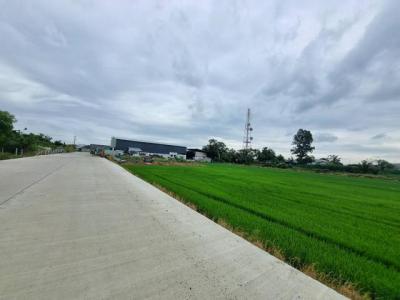 ที่ดิน 29000000 ฉะเชิงเทรา เมืองฉะเชิงเทรา คลองอุดมชลจร