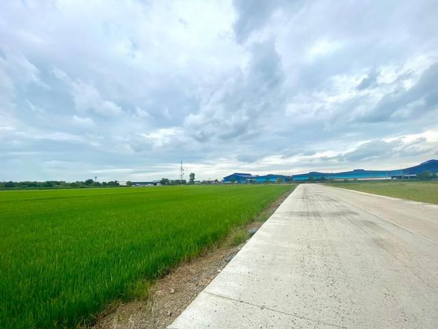 ที่ดิน 29000000 ฉะเชิงเทรา เมืองฉะเชิงเทรา คลองอุดมชลจร ที่ดิน 29000000 ฉะเชิงเทรา เมืองฉะเชิงเทรา คลองอุดมชลจร