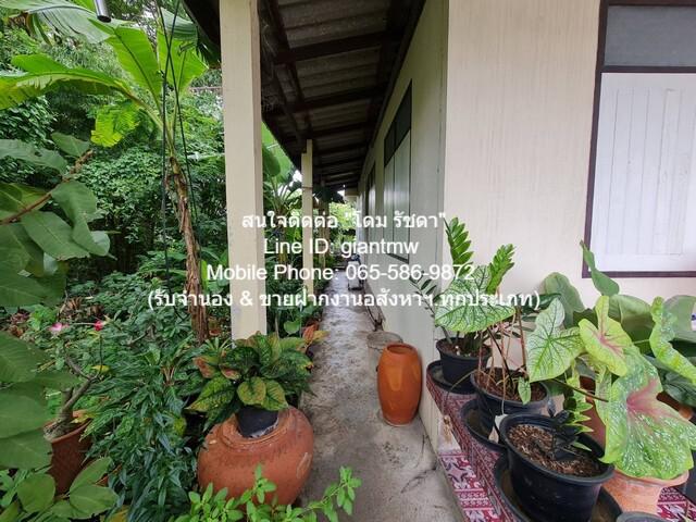 บ้านเดี่ยว 5000000 นนทบุรี เมืองนนทบุรี บางกระสอ บ้านเดี่ยว 5000000 นนทบุรี เมืองนนทบุรี บางกระสอ