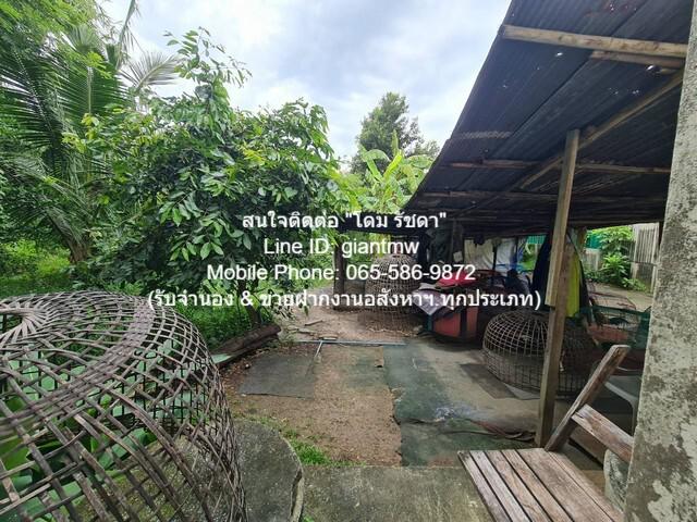 บ้านเดี่ยว 5000000 นนทบุรี เมืองนนทบุรี บางกระสอ บ้านเดี่ยว 5000000 นนทบุรี เมืองนนทบุรี บางกระสอ