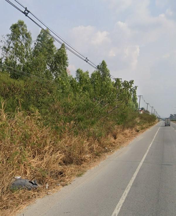 ที่ดิน 60000 ชลบุรี บ้านบึง บ้านบึง ที่ดิน 60000 ชลบุรี บ้านบึง บ้านบึง