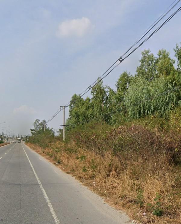 ที่ดิน 60000 ชลบุรี บ้านบึง บ้านบึง ที่ดิน 60000 ชลบุรี บ้านบึง บ้านบึง