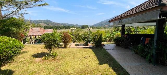 บ้านเดี่ยว 12500000 ระนอง เมืองระนอง บางนอน บ้านเดี่ยว 12500000 ระนอง เมืองระนอง บางนอน