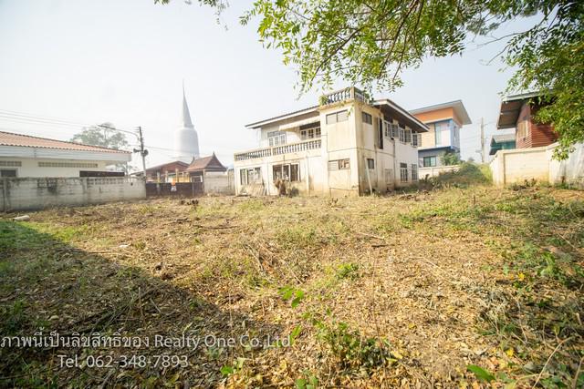 ที่ดิน 2790000 พระนครศรีอยุธยา บางไทร โพแตง ที่ดิน 2790000 พระนครศรีอยุธยา บางไทร โพแตง