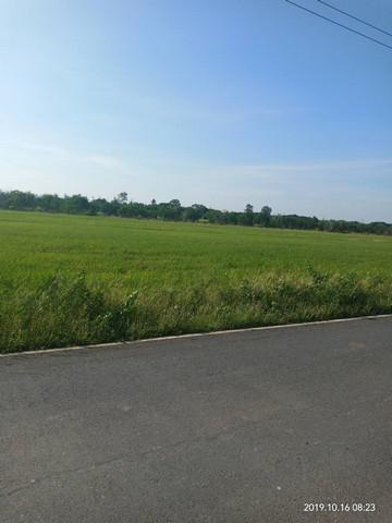 ที่ดิน 111000000 ฉะเชิงเทรา บางปะกง หนองจอก ที่ดิน 111000000 ฉะเชิงเทรา บางปะกง หนองจอก