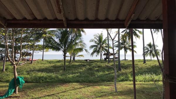 ที่ดิน 7500000 ชุมพร ละแม สวนแตง ที่ดิน 7500000 ชุมพร ละแม สวนแตง
