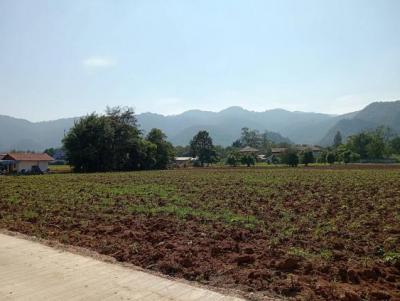 ที่ดิน 15000000 นครราชสีมา ปากช่อง หมูสี