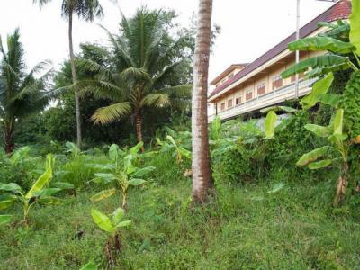 ที่ดิน 3975860 ชลบุรี ศรีราชา หนองขาม