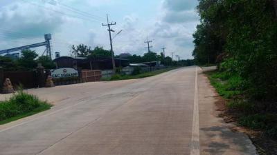 ที่ดิน 1200000 ชลบุรี บ่อทอง เกษตรสุวรรณ