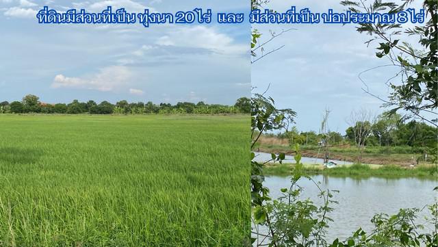 ที่ดิน 31625000 ฉะเชิงเทรา บ้านโพธิ์ บ้านโพธิ์ ที่ดิน 31625000 ฉะเชิงเทรา บ้านโพธิ์ บ้านโพธิ์