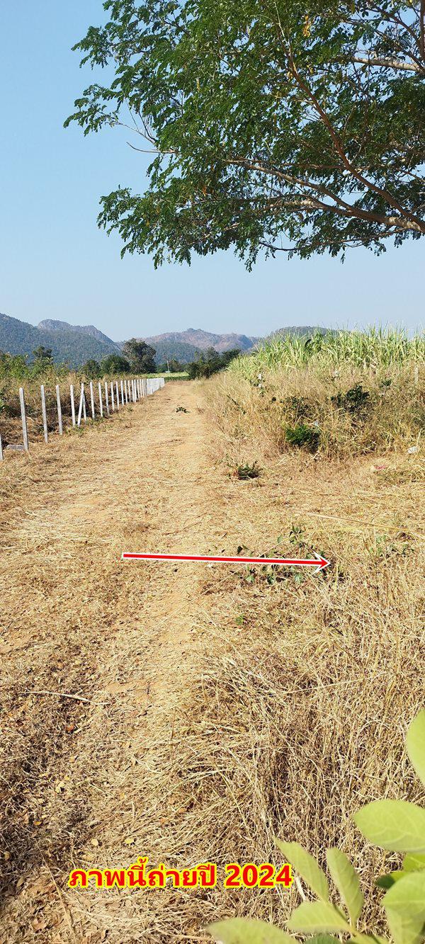 ที่ดิน 125000 กาญจนบุรี ไทรโยค ศรีมงคล ที่ดิน 125000 กาญจนบุรี ไทรโยค ศรีมงคล
